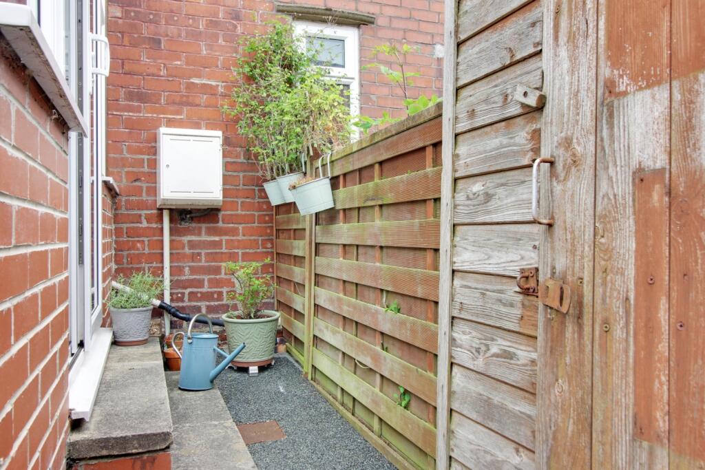 Back Garden