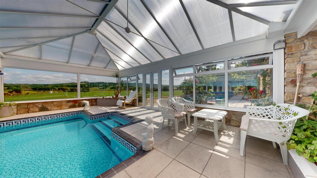 Red Cat Lane Swimming Pool