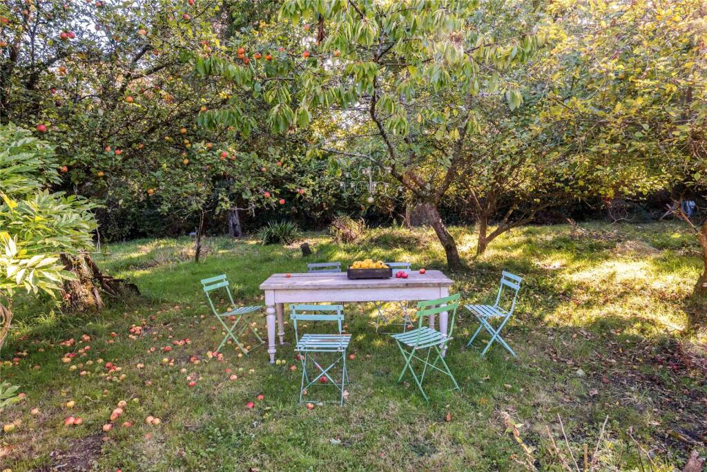 Orchard