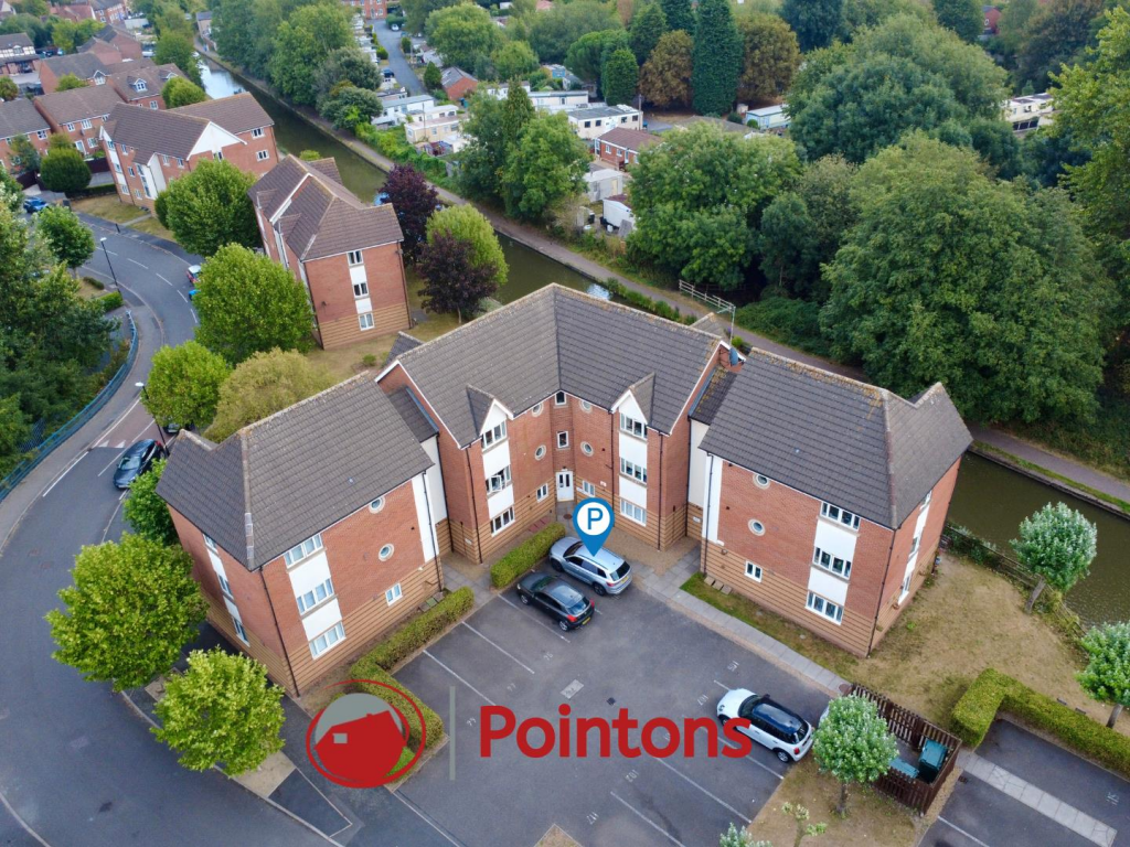 Aerial - Outline  (5).png