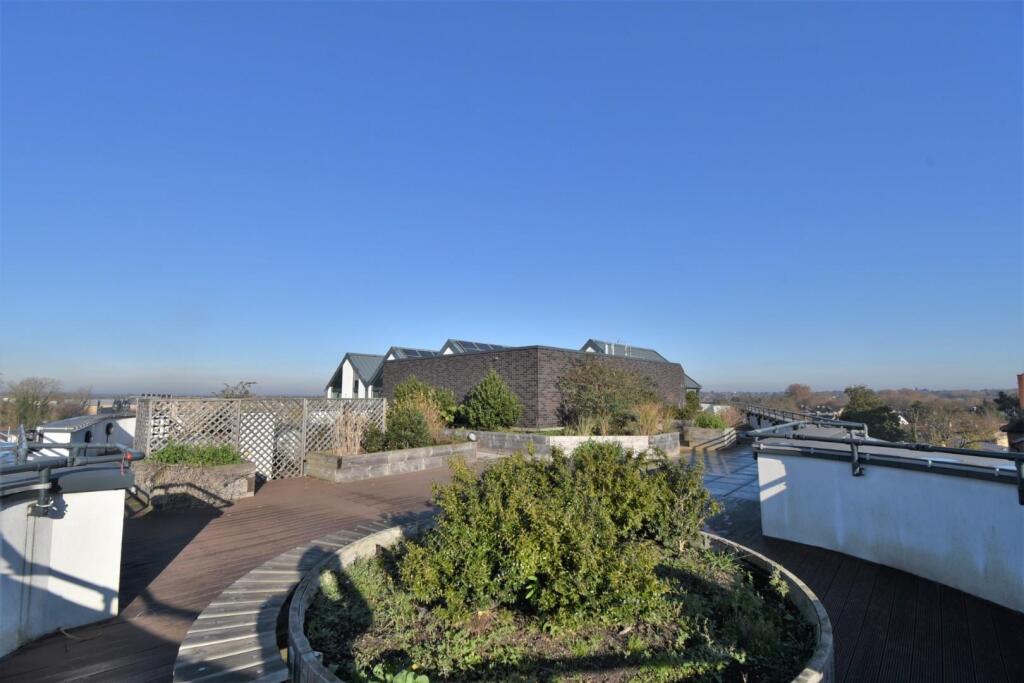 Communal Roof Garden