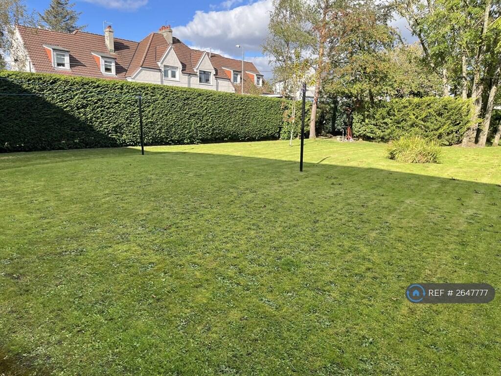 Back Garden 1
