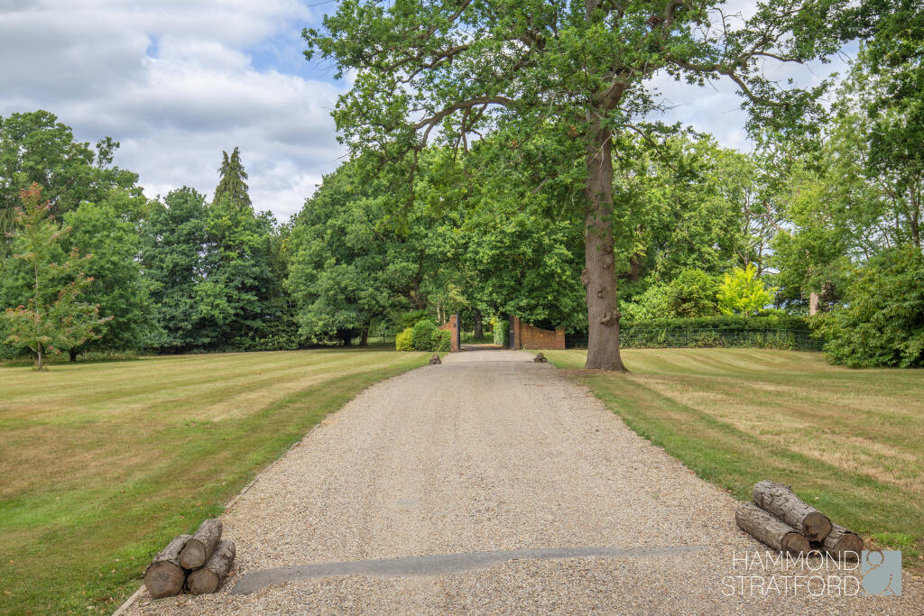 Driveway