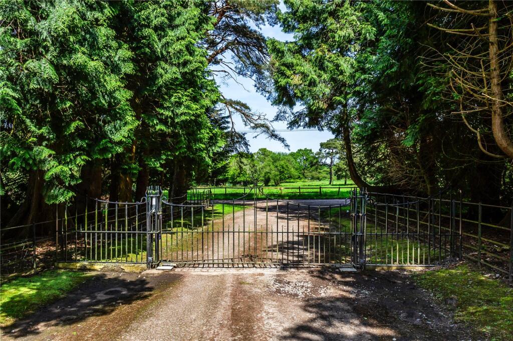 Driveway