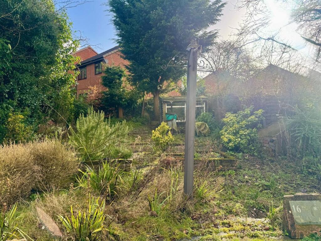 Garden 4.jpg