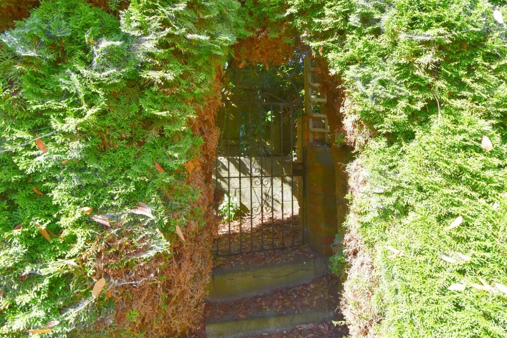 Gate to rear lane.jpg