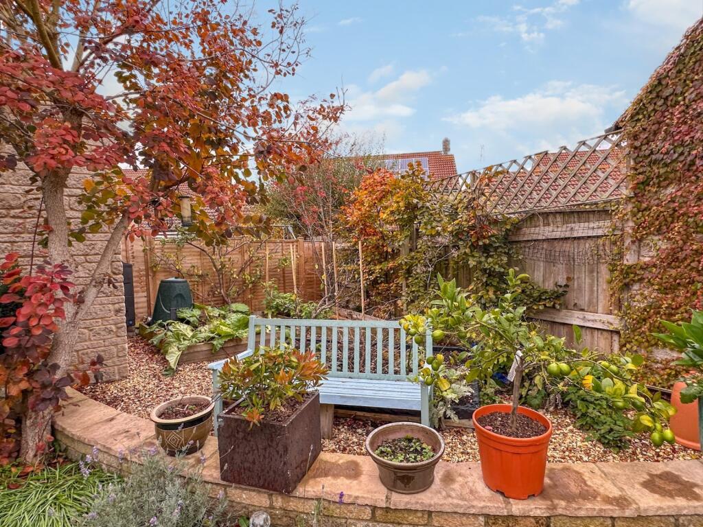 Vegetable Area