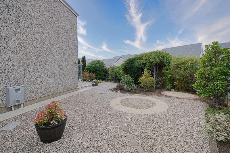 Back Garden