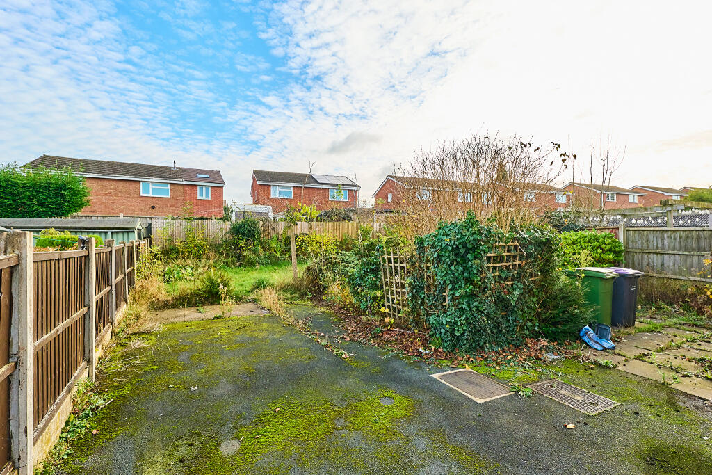 P1371435 T202411111834.jpg