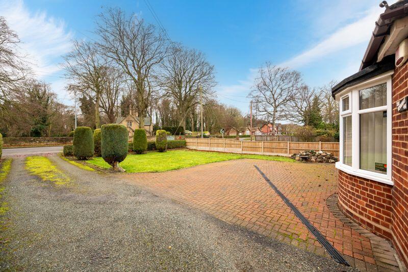 Front garden/driveway