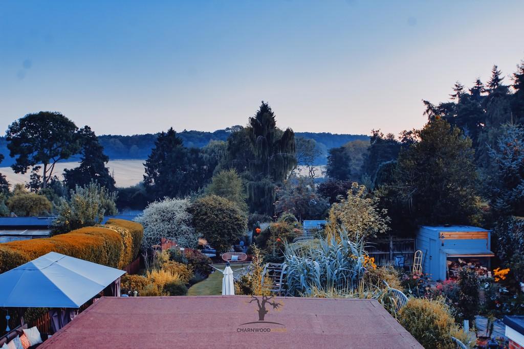 Rooftop Garden Vi...