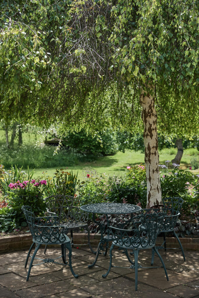 288932 - DGLA0119.jpg