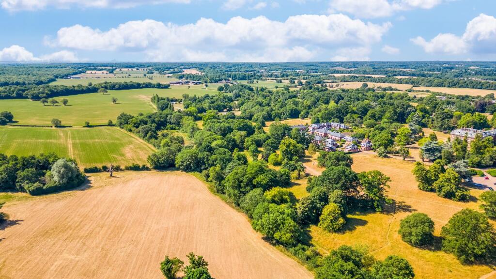 Harrison Lane 8-19.jpg