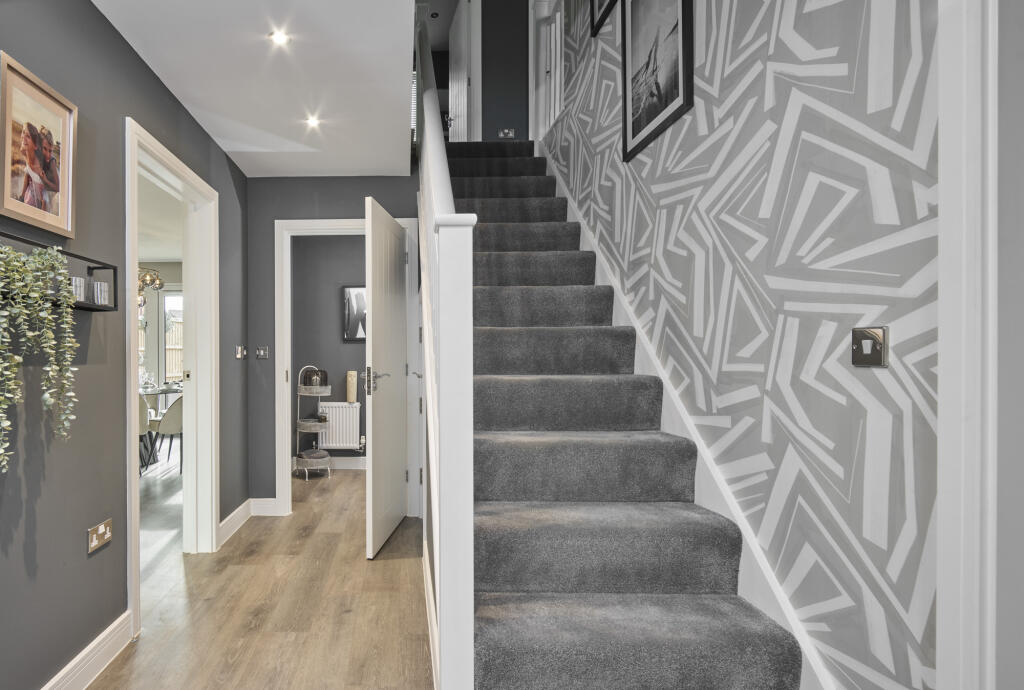 Showhome Photography