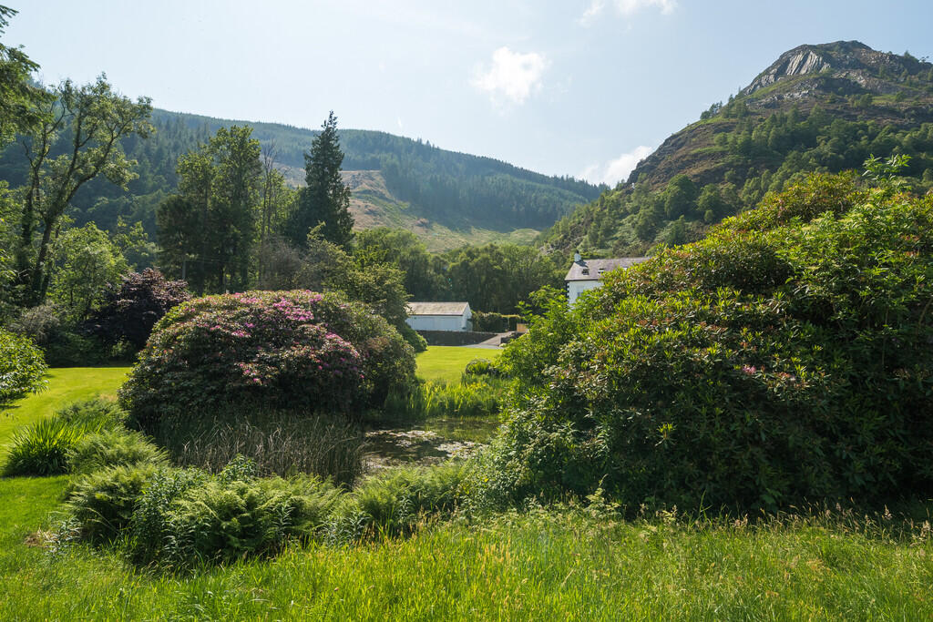 Communal Grounds