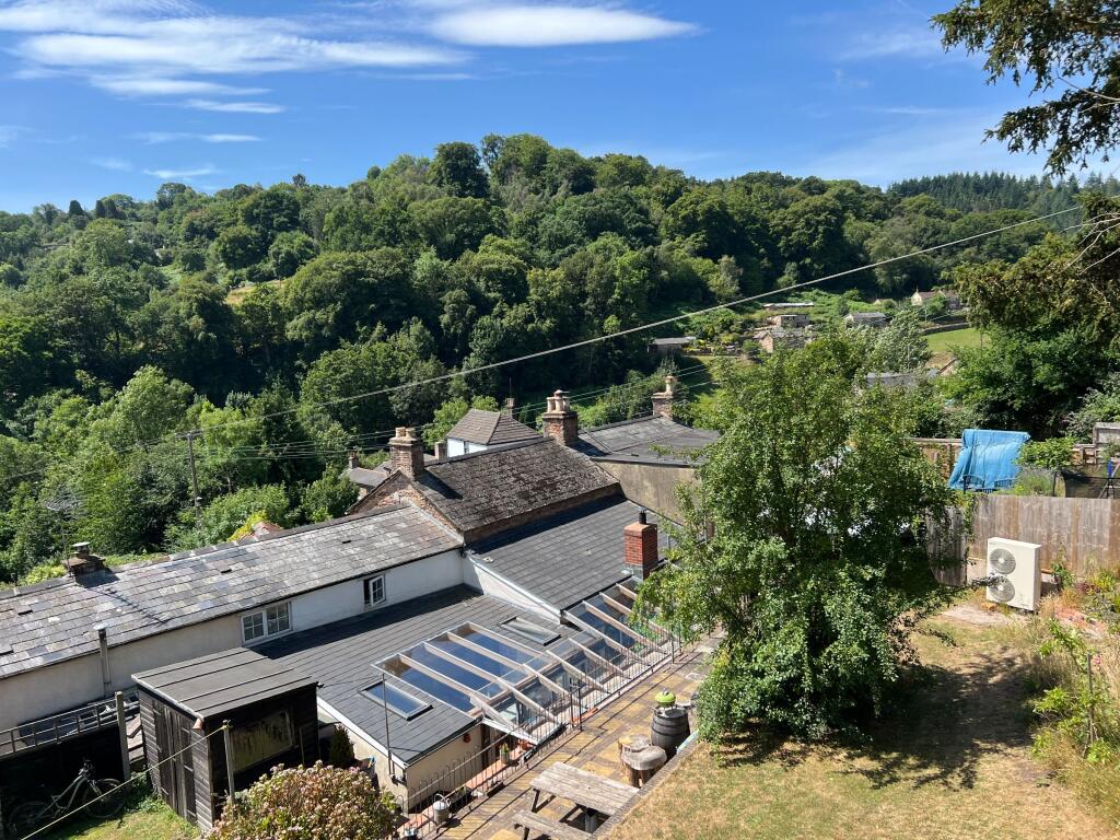 photo taken by the vendor