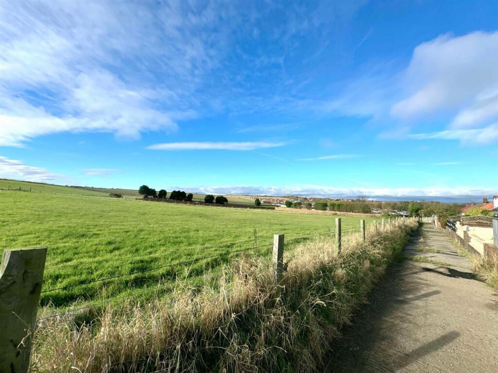 462538153_1103875747767071_883368243797195677_n.jp