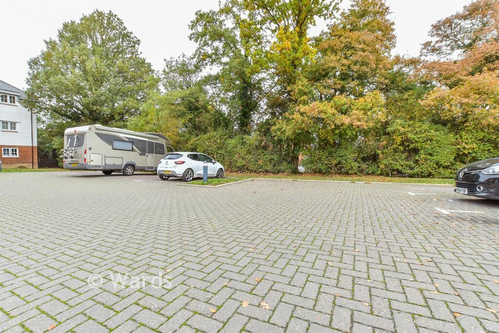 Driveway/Parking