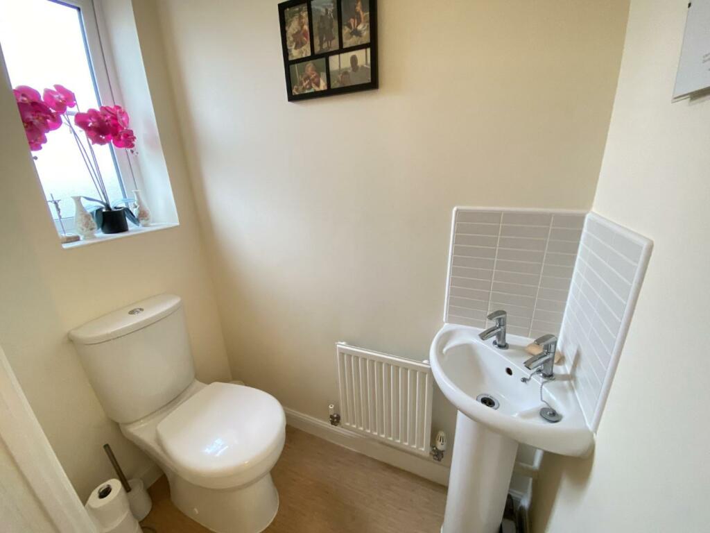 IMG_3048 (Large).JPG