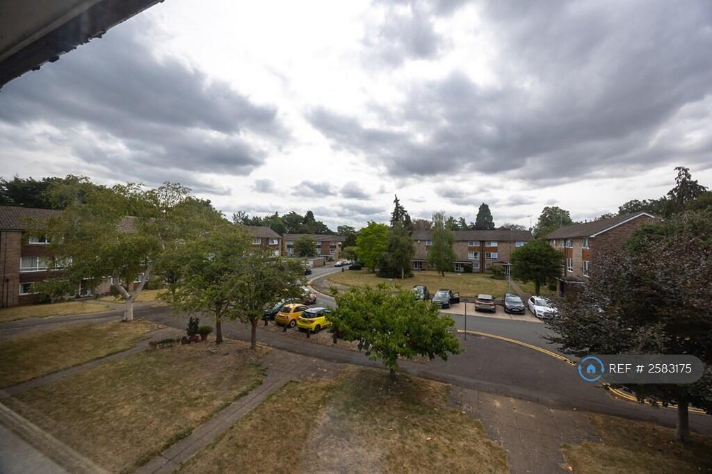 View From Window: Front