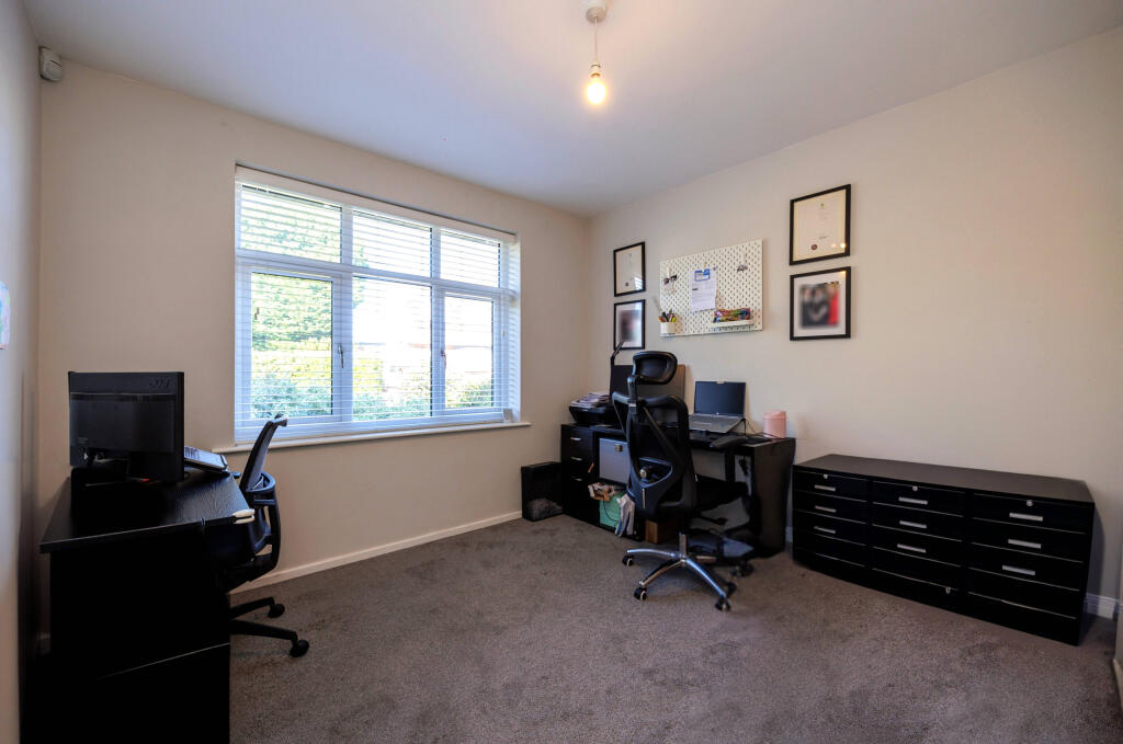 Untitled (5200 x 3900 px) (5200 x 3450 px) (7)