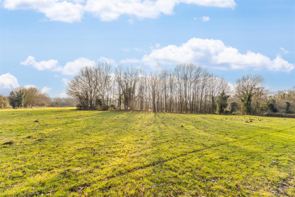 Pear Tree Dell 8-28.jpg