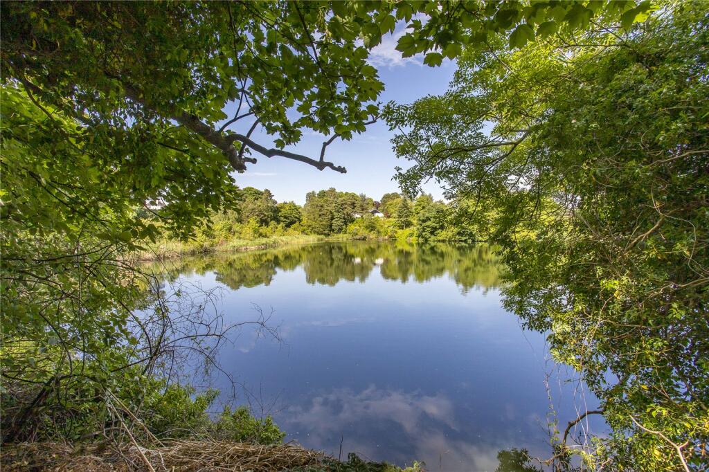 Pond