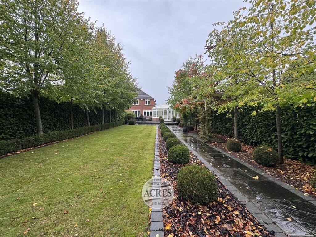 IMG_8380 (Large).jpg