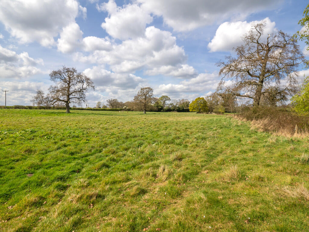 ParkFarm-54