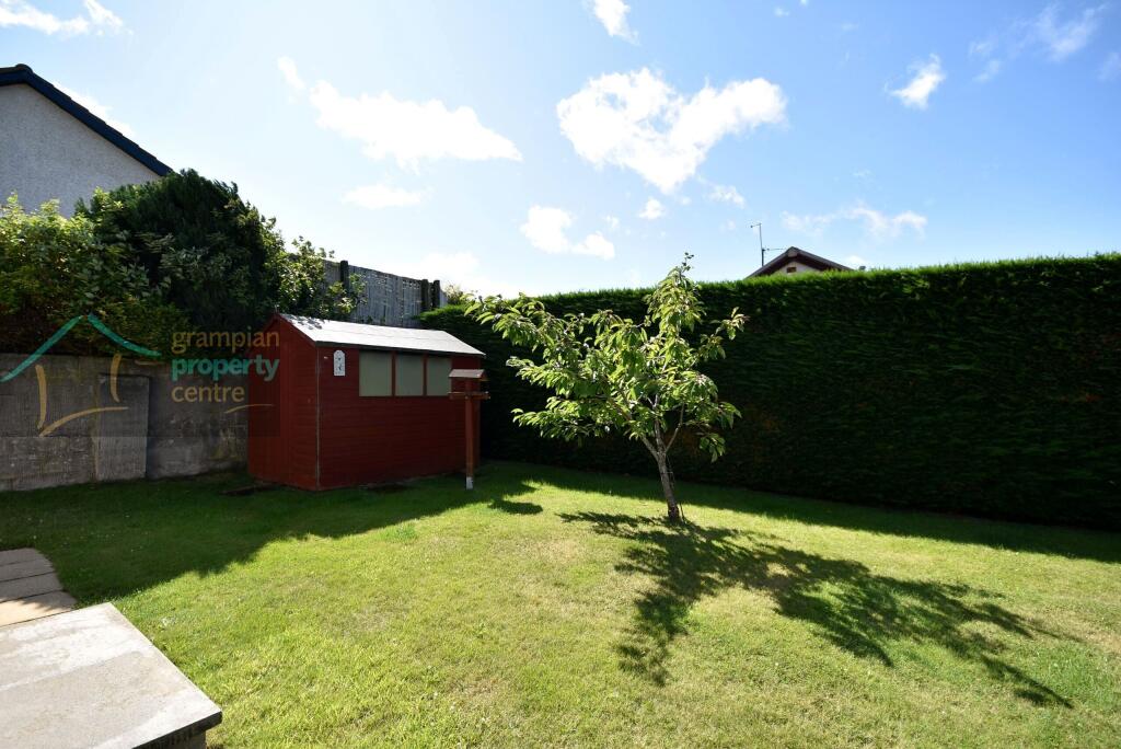 garden 2 .JPG