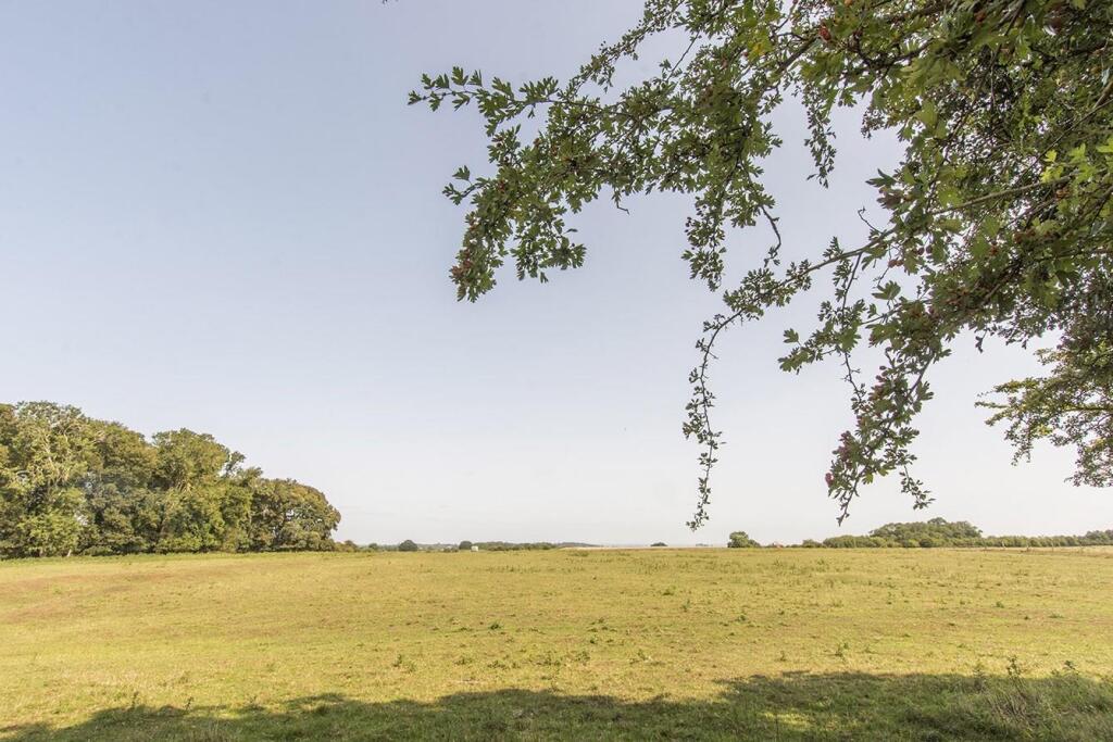 Country Views