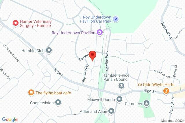 Google Maps Image