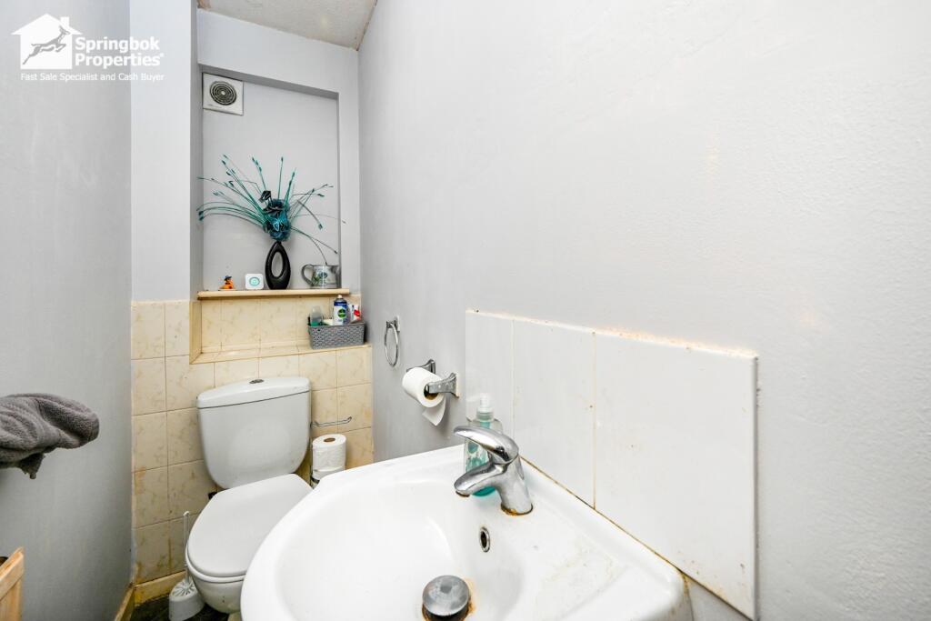 IMAGE 7