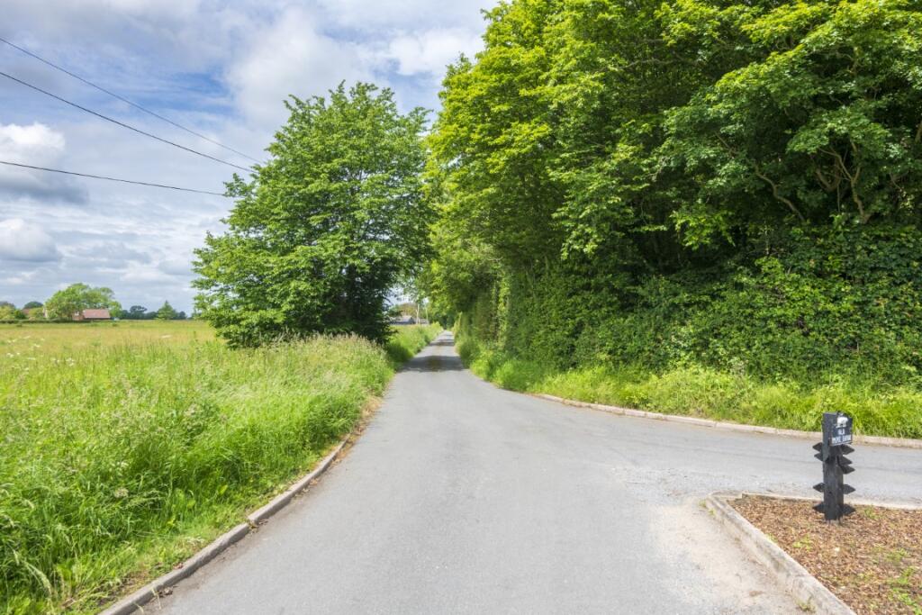 17  Medium  T202509241445.jpg