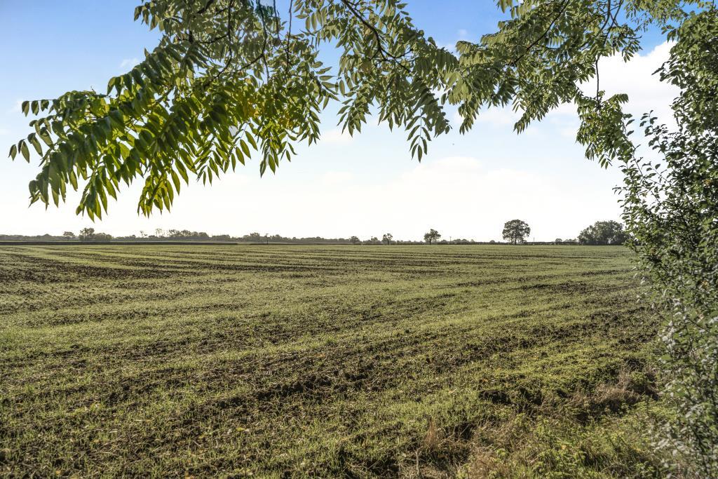 Field View