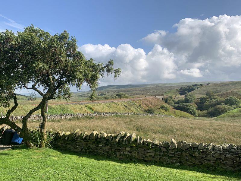View South down the valley