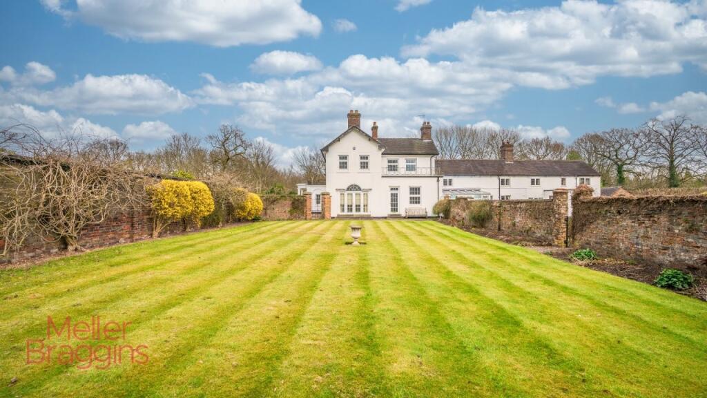 20250321-20250321-DSC07221-Edit-Edit (2).jpg