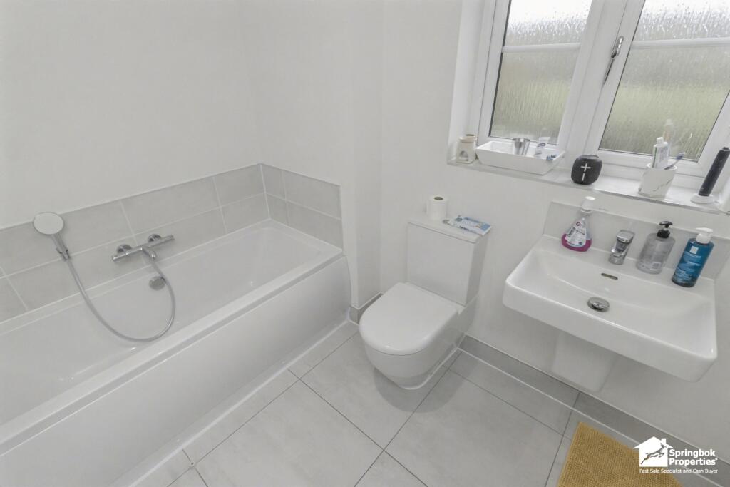 IMAGE 12