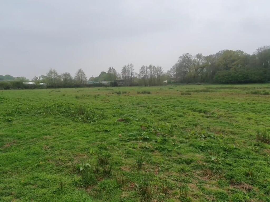 WhatsApp Image 2025-05-05 at 18.31.35.jpeg