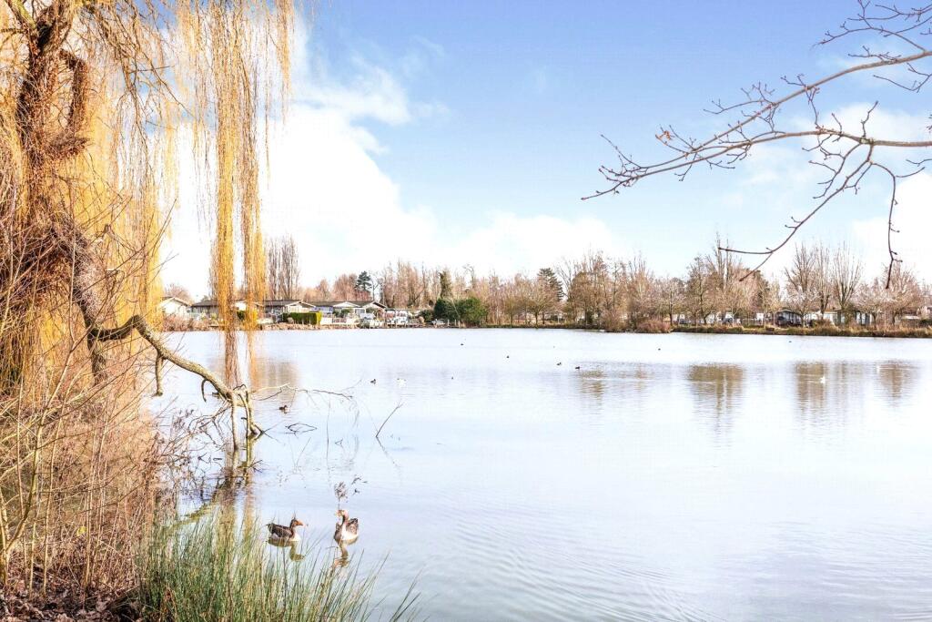 Lake Side View