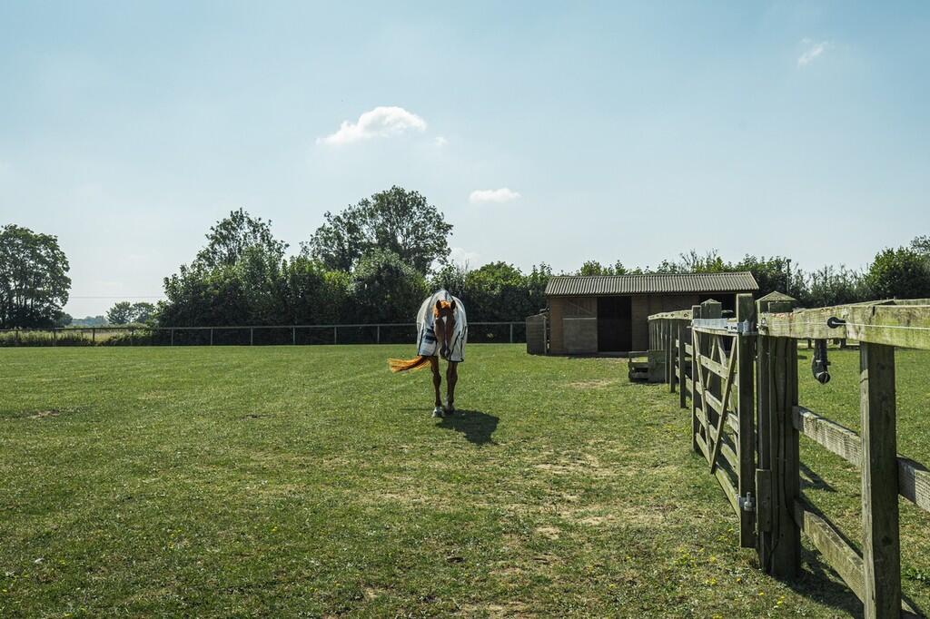 Springfield House...