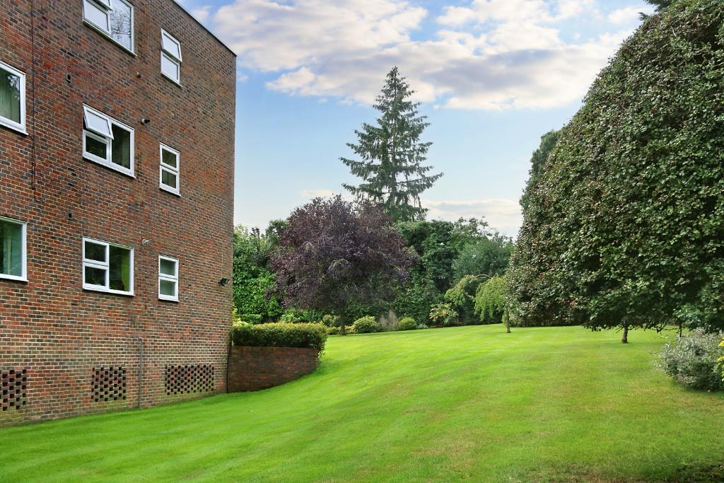 IMG_8754 (Portal Size).JPG