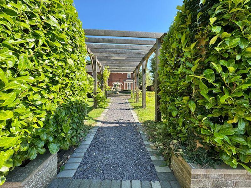 Pathway to the pool house