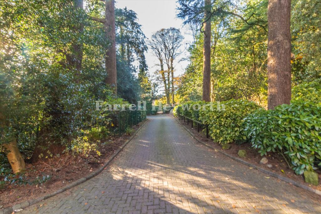 Driveway