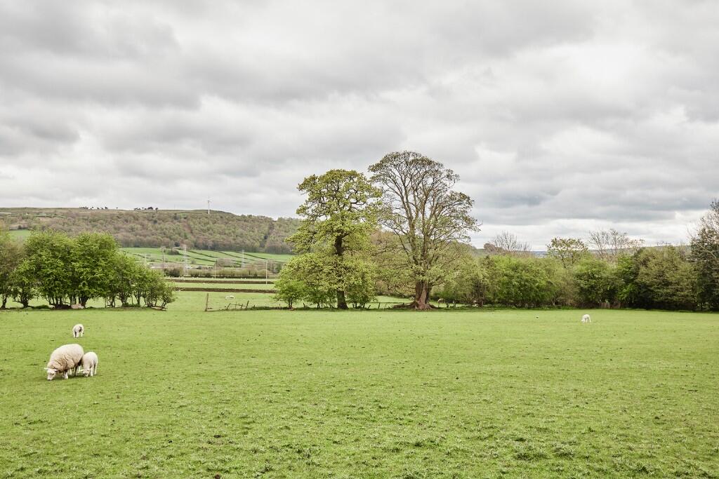 Surrounding Farmland