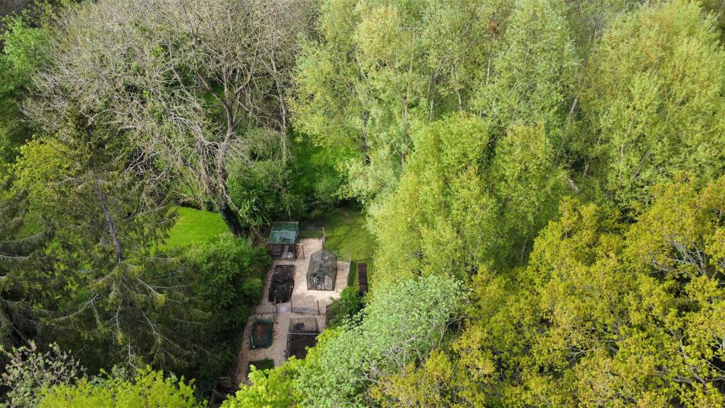 dji_fly_20250424_153230_701_1745564969353_photo_op