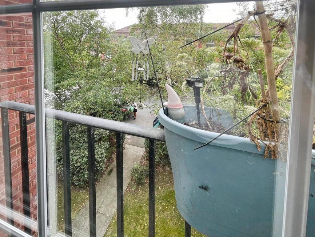 d77f4e6a--4047-8921-06F1E1956652-55675-000007F3F21