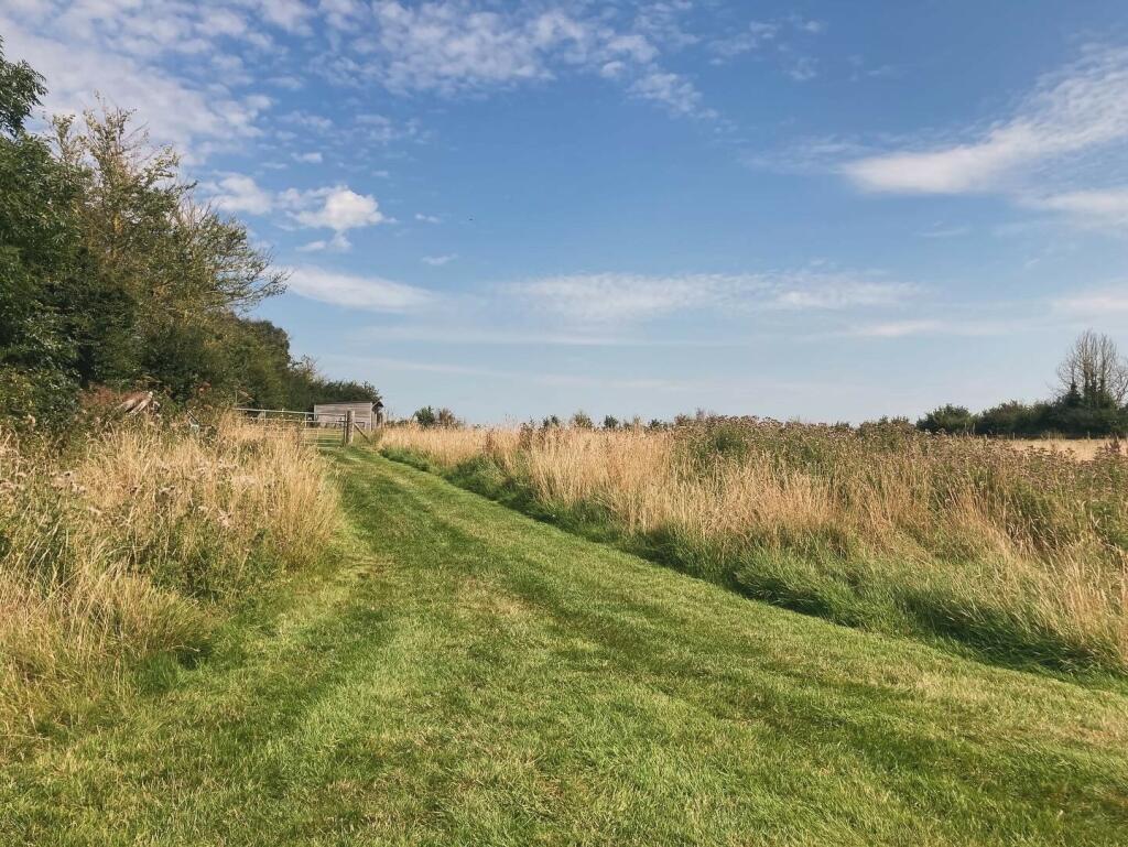Field