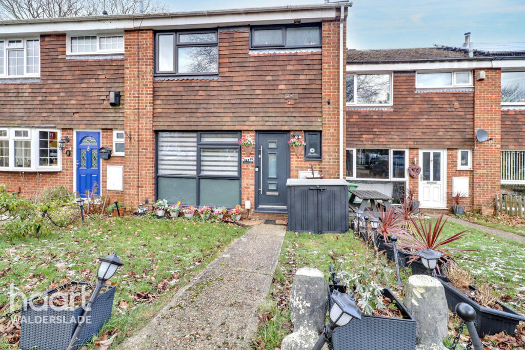 Autumn Glade, Chatham