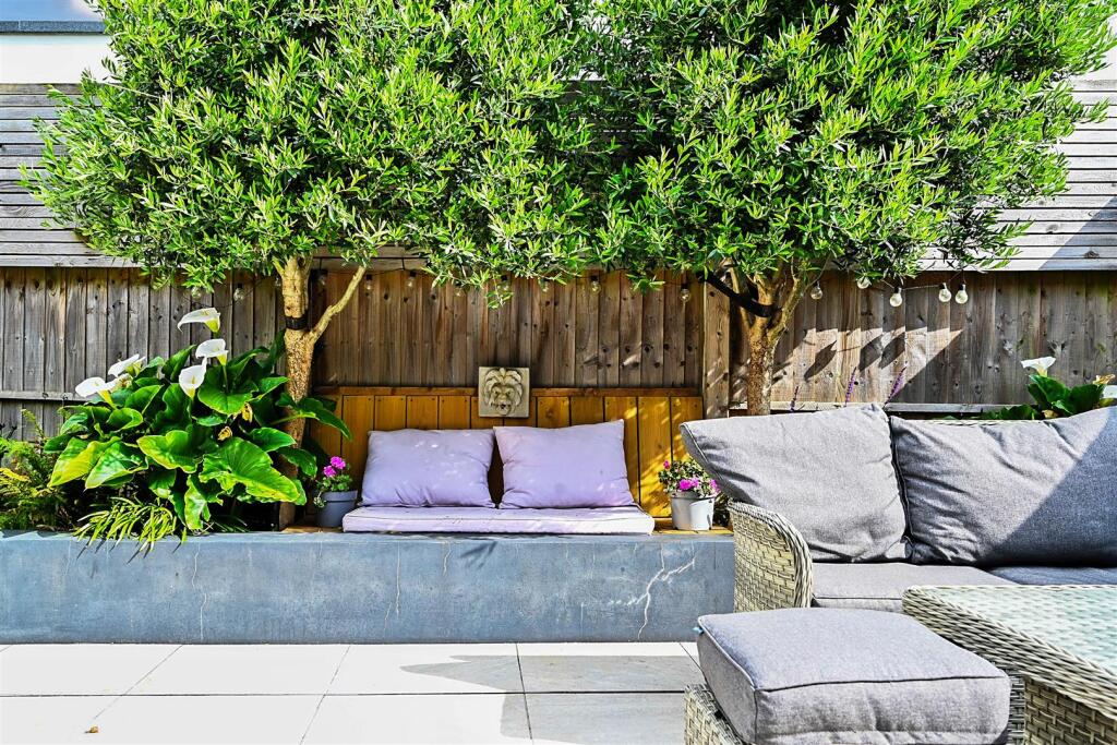 rowan-close-bn (6).jpg